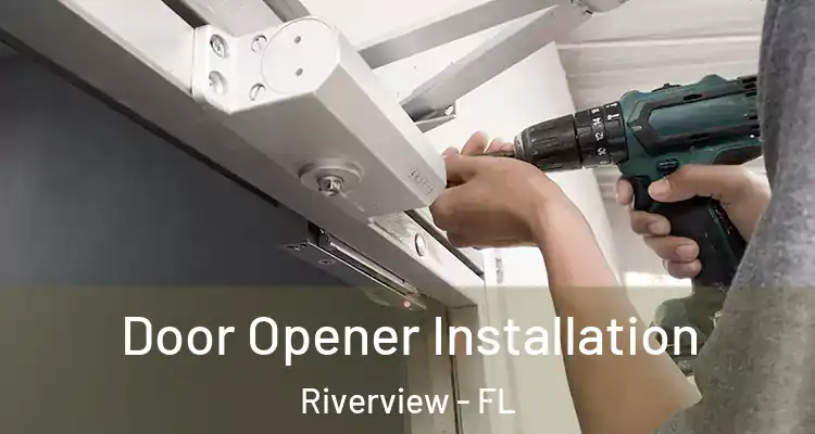  Door Opener Installation Riverview - FL