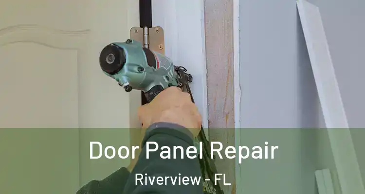  Door Panel Repair Riverview - FL