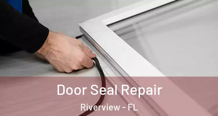  Door Seal Repair Riverview - FL