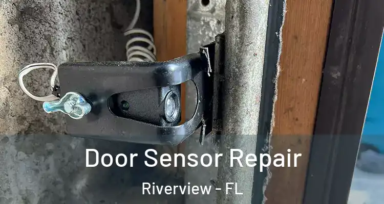  Door Sensor Repair Riverview - FL