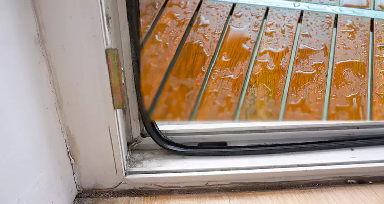 Water Leaking Wooden Patio Doors Repair in Riverview, FL