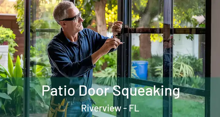  Patio Door Squeaking Riverview - FL