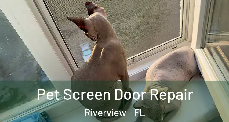  Pet Screen Door Repair Riverview - FL