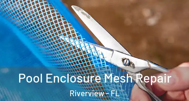  Pool Enclosure Mesh Repair Riverview - FL
