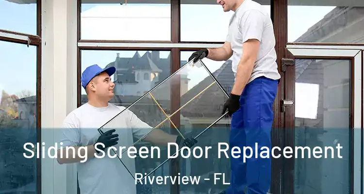  Sliding Screen Door Replacement Riverview - FL