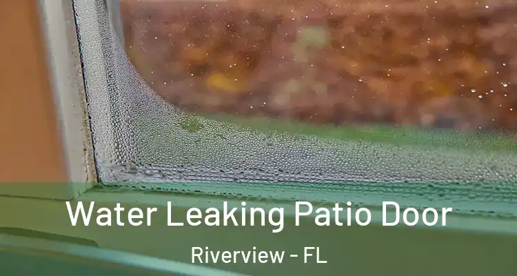  Water Leaking Patio Door Riverview - FL